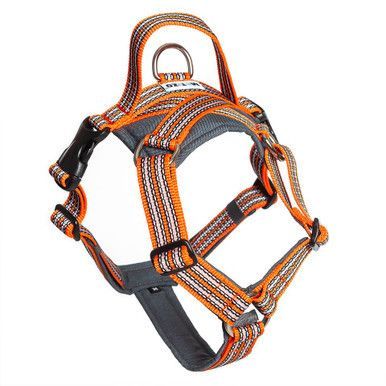 Future Walking Sele Orange - XXL