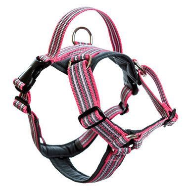 Future Walking Sele Rosa - XL