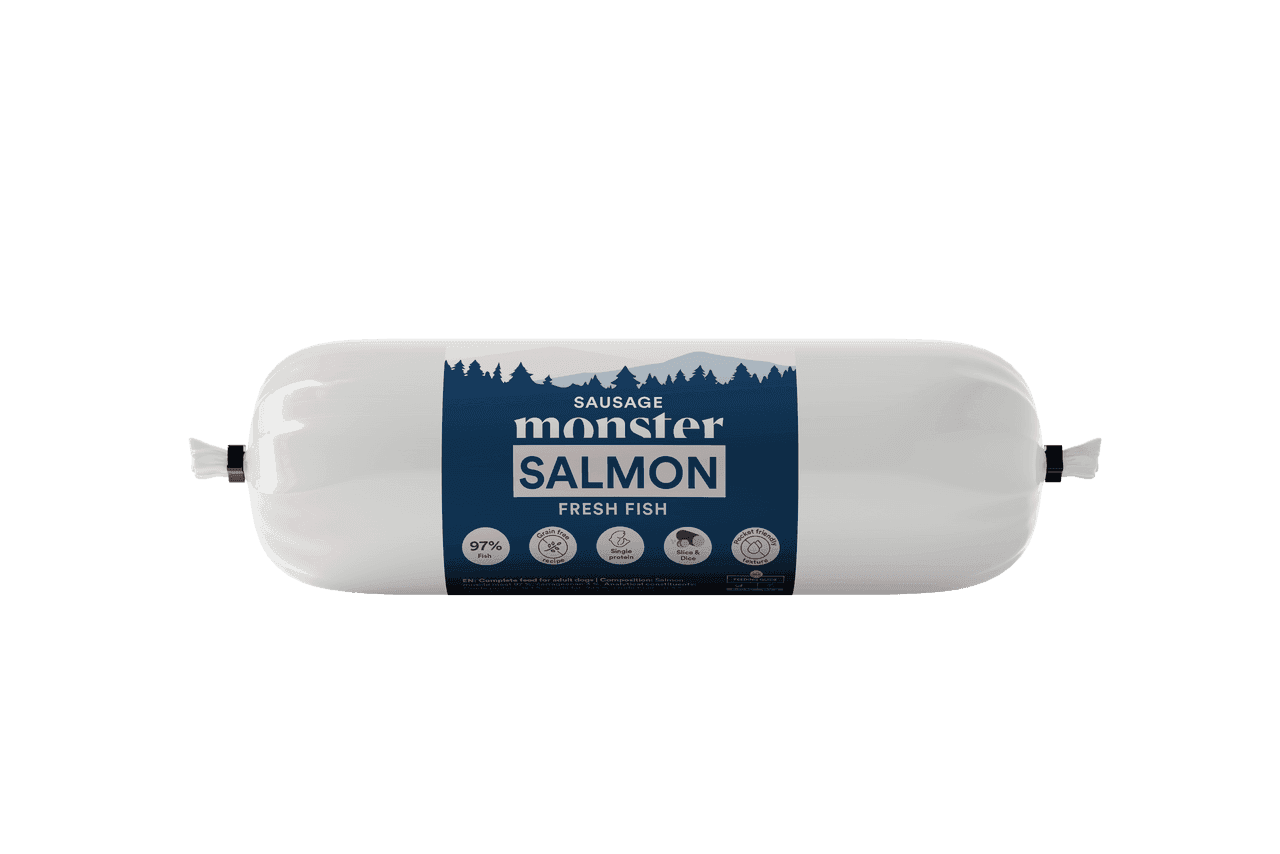 Dog Sausage Salmon Hundfoder - 12 x 200 g