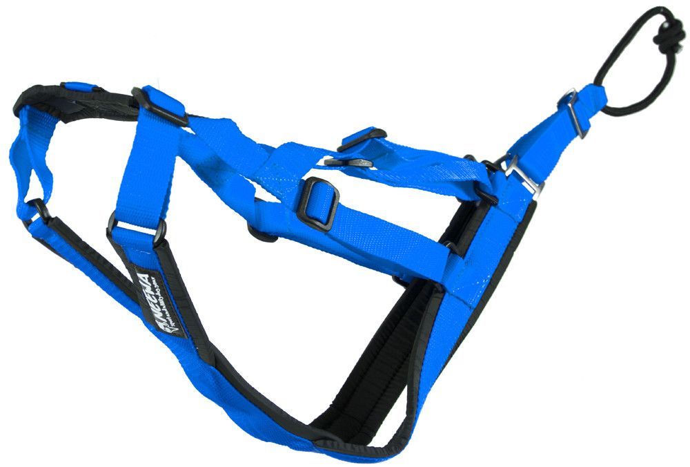 Sled Dog X-Back - Medium / Blå