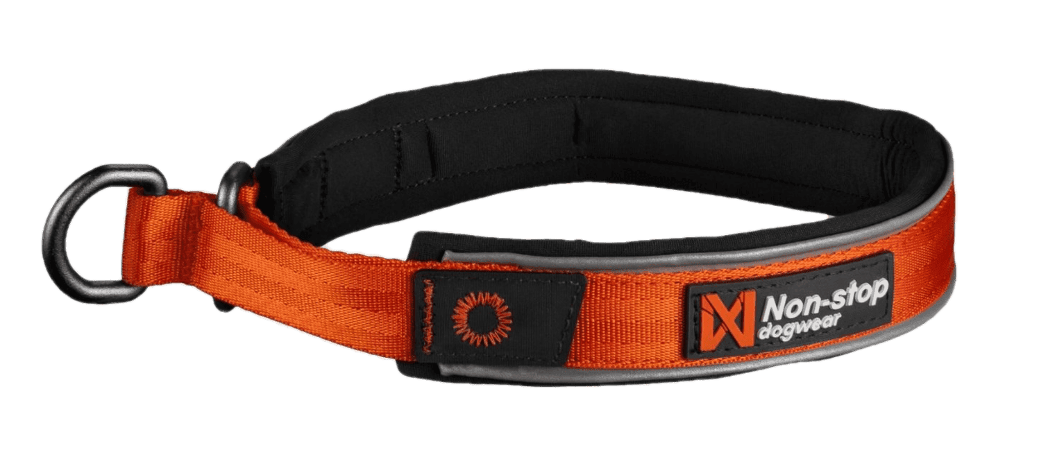 Cruise Collar Orange S 40cm