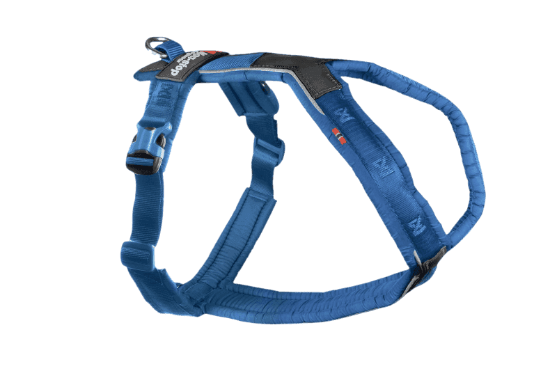 Line Harness 5.0 Blue Nr 1