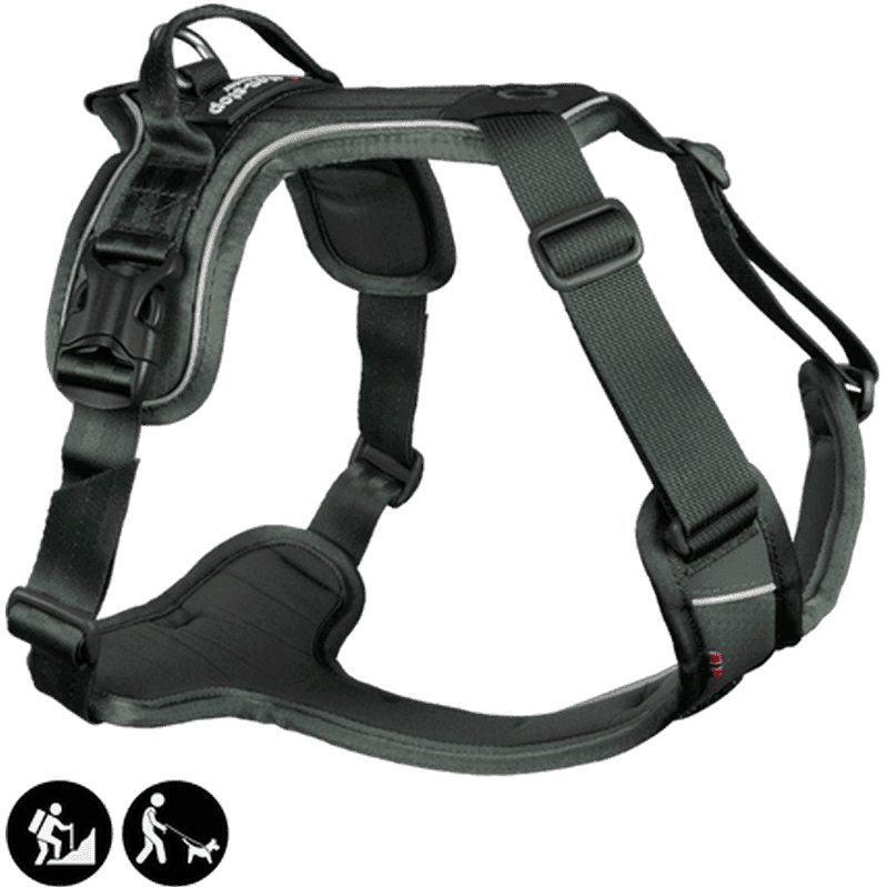 Ramble Harness Green Large