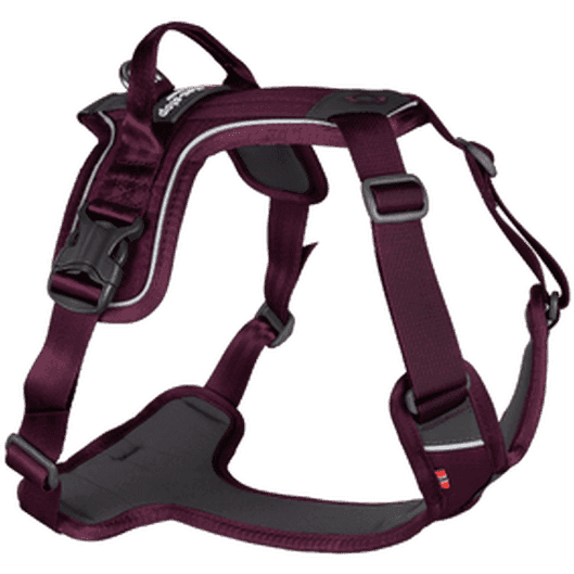 Ramble Harness Purple X-Large