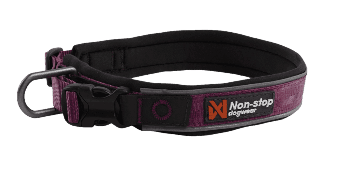 Roam Collar Purple X-Large