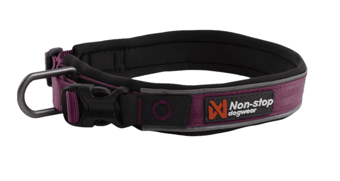 Roam Collar Purple X-Small