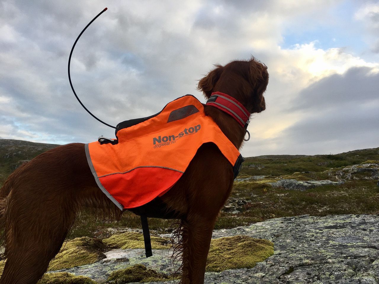 Förstärkt Jaktväst med GPS-ficka - XL