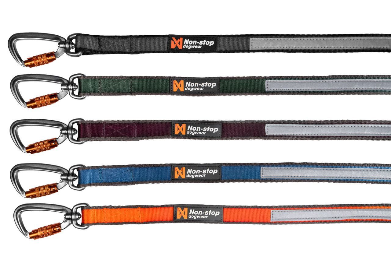 Move Leash - Orange / 10mm/1.5m