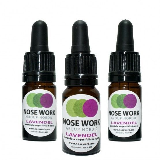 NoseWork Träningskit Professional - Lavendel
