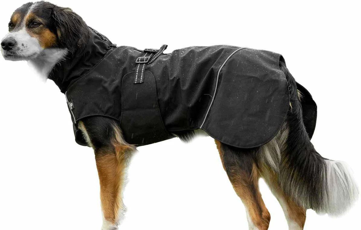 Outdoor Rainjacket för Hund - 36 / Svart