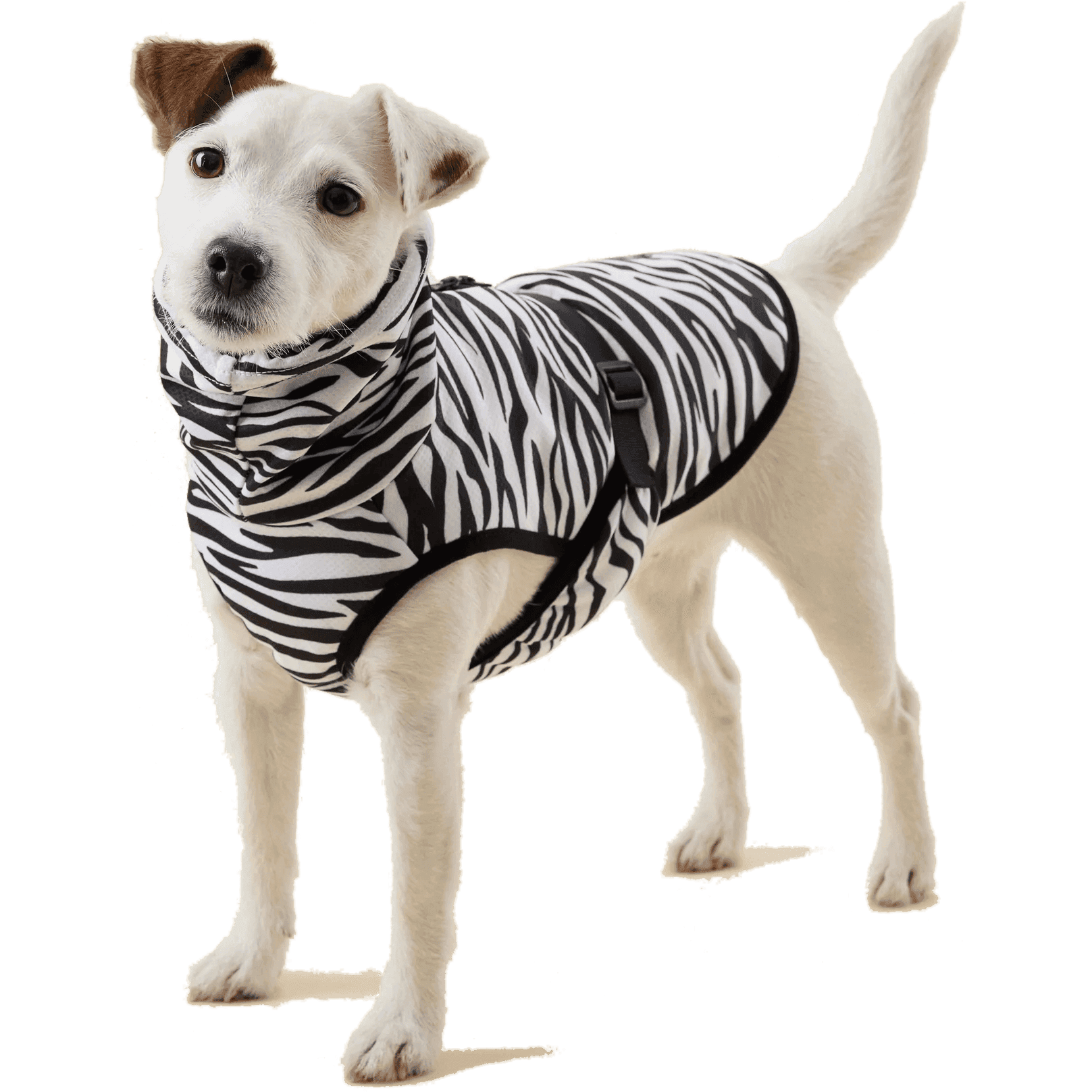 Cool & Bug Vest 25cm