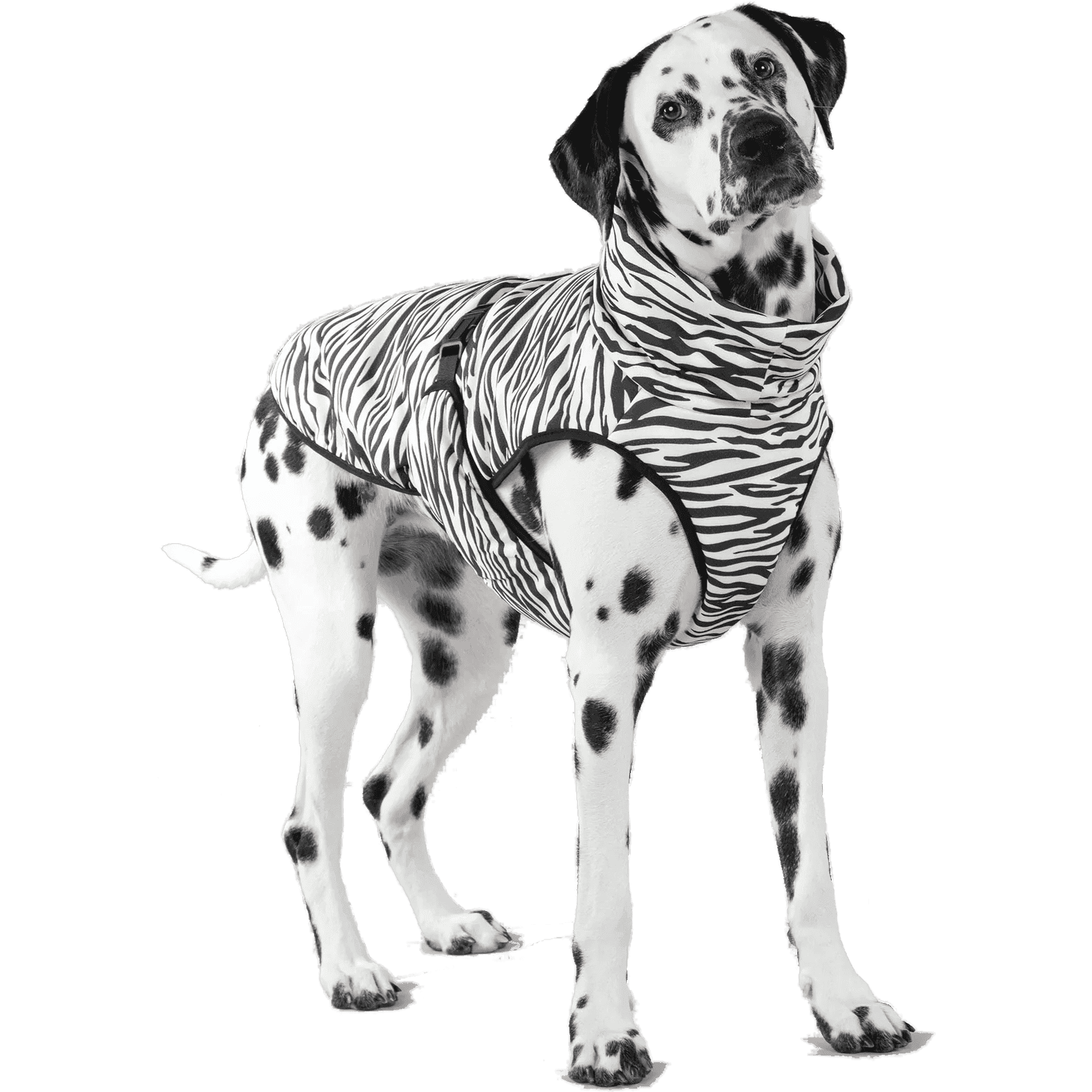 Cool & Bug Vest 50cm