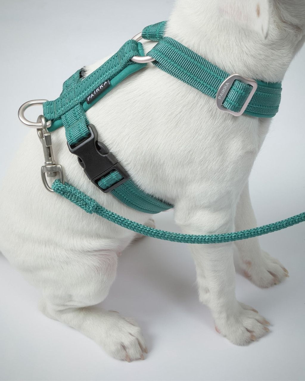Easy Harness Reflekterande Hundsele Emerald - L