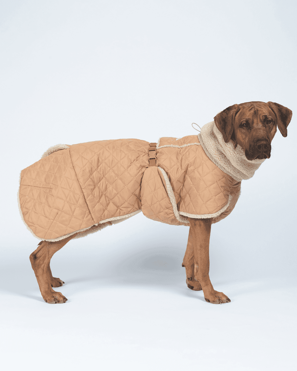 Quilted Sherpa Hundjacka - 25