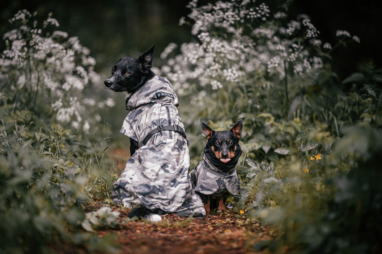 Reflekterande Regnjacka Hund, Camo - 70