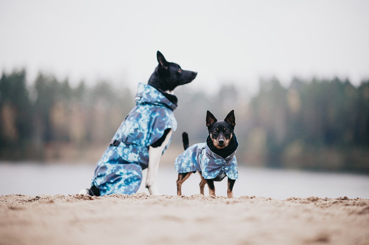 Reflekterande Regnjacka Hund, Petrol - 70