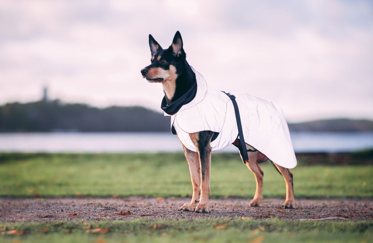 Reflekterande Regnjacka Hund, Rosa utgående - 45
