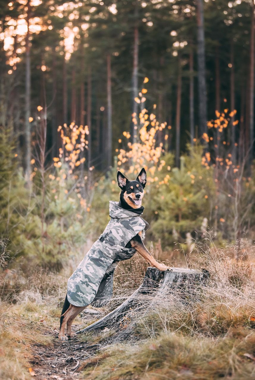 Reflekterande Vintertäcke, Camo - 30