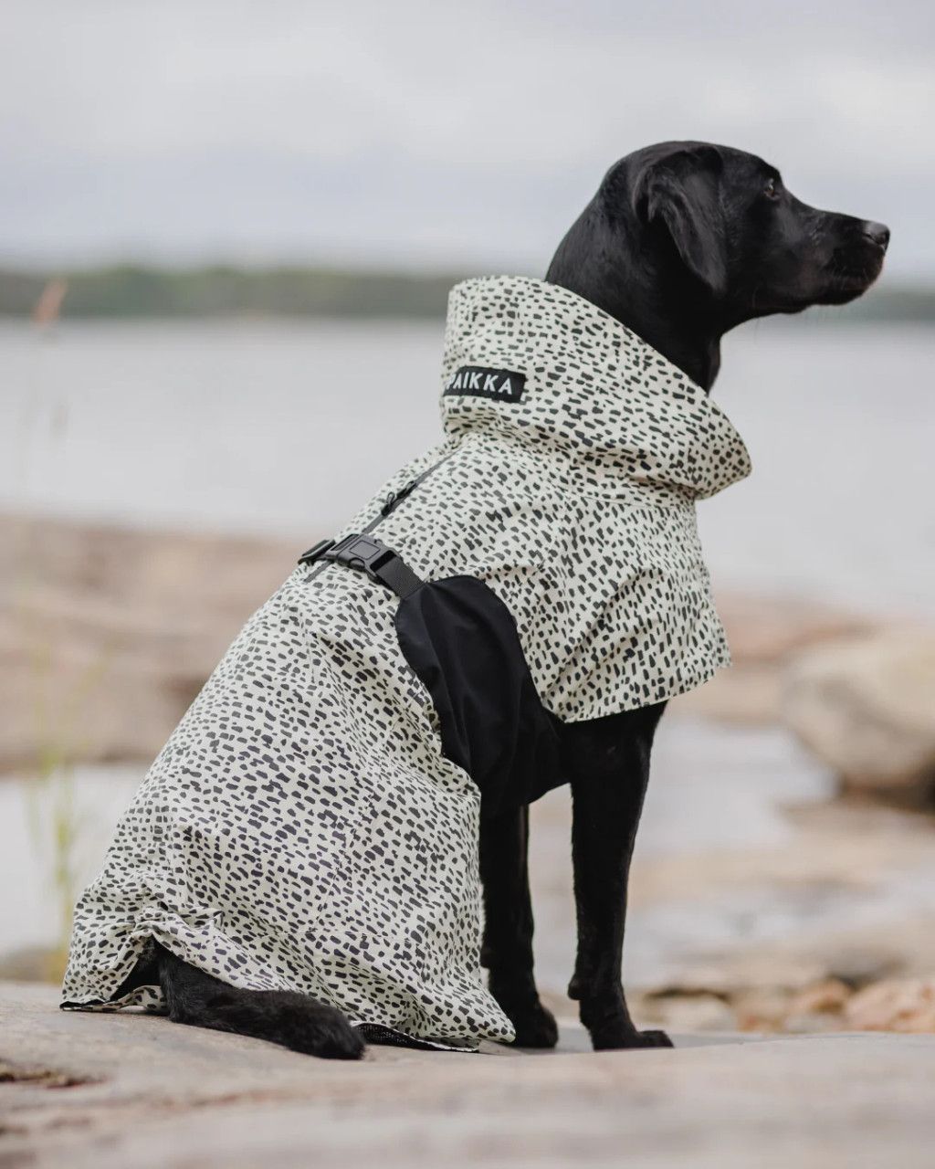 Regnjacka 2.0 Hund - 30