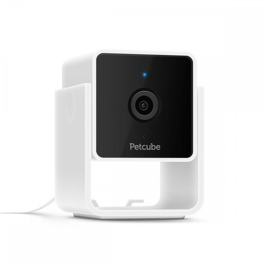 PetCube Cam Husdjurskamera med Ljud