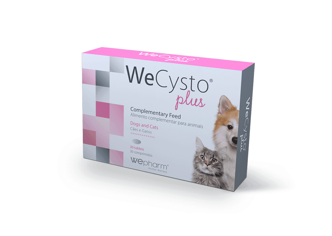 WeCysto Plus Tabletter - 30 tabletter