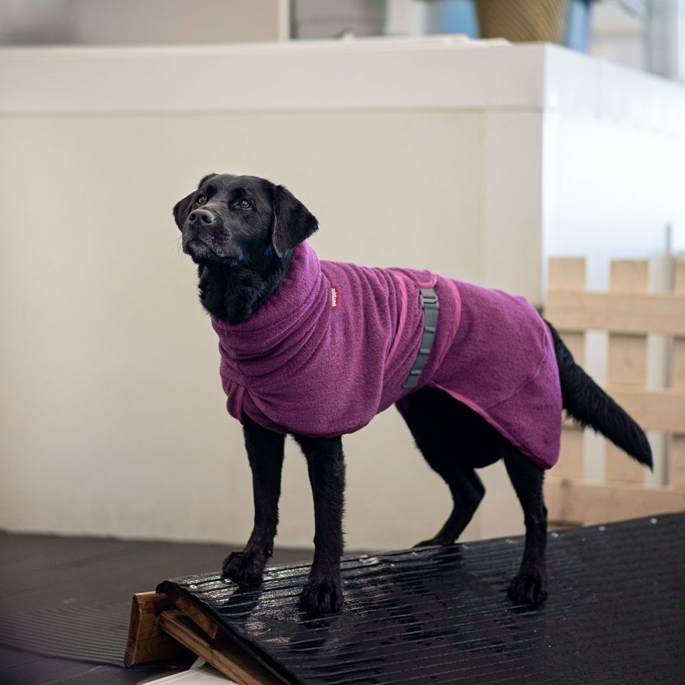 Pomppa Bath Badrock till Hund Lila (31/34)