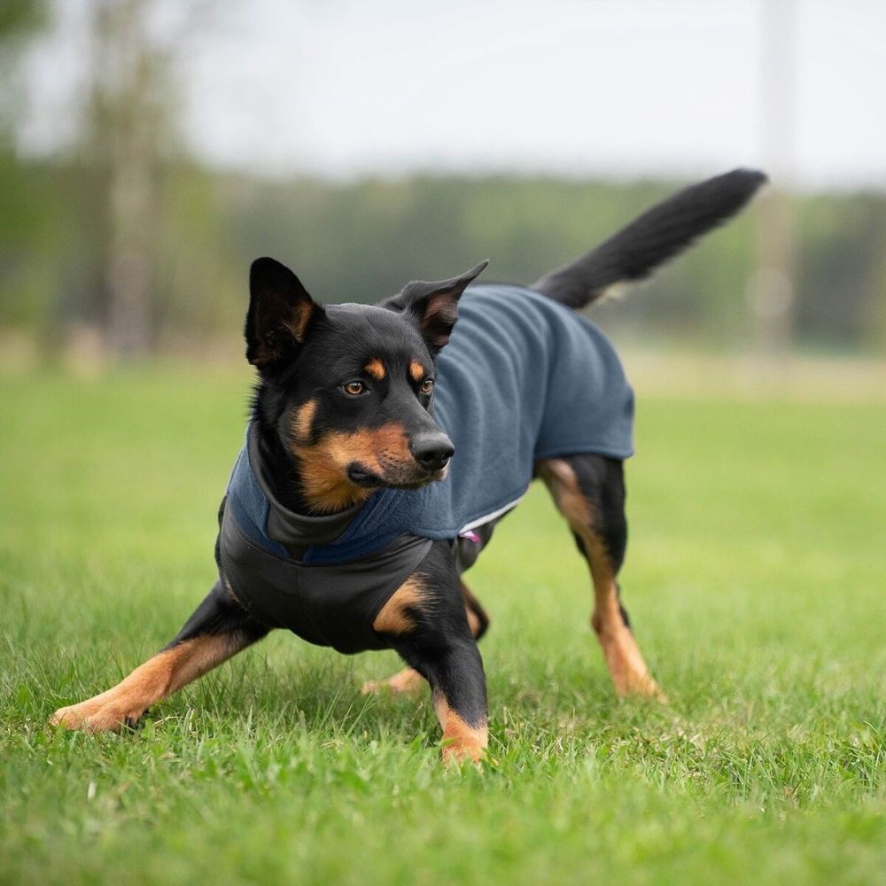 Pomppa Jumppa Fleecetäcke Hund Mörkblå (34)