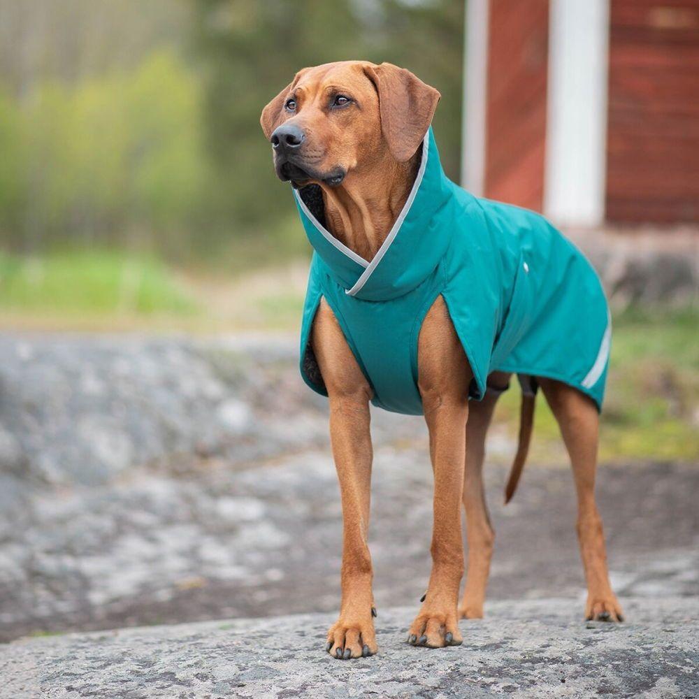 Pomppa Perus Hundtäcke för Sele Blå/Grön (48)