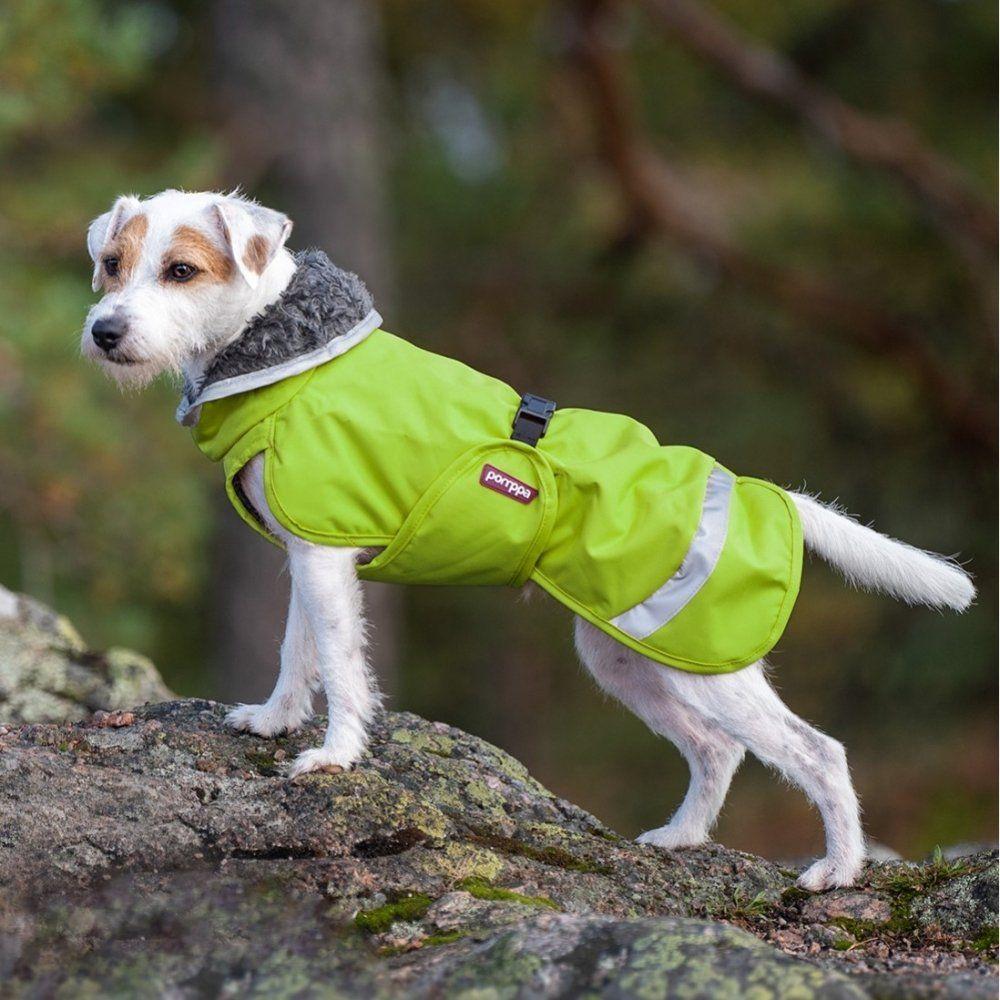 Pomppa Perus Vintertäcke Hund Grön (75 cm)