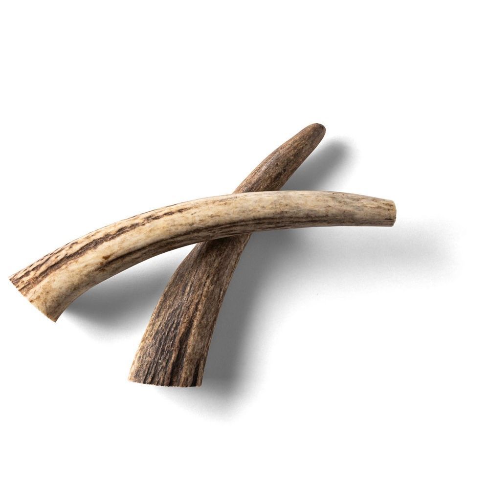 Hjorthorn Rauh Antler S