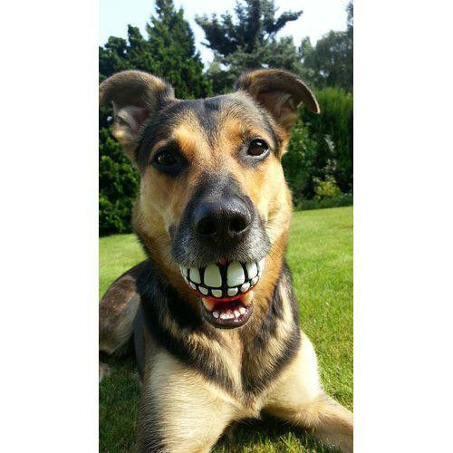 Grinz hundboll Lime - Small / Lime