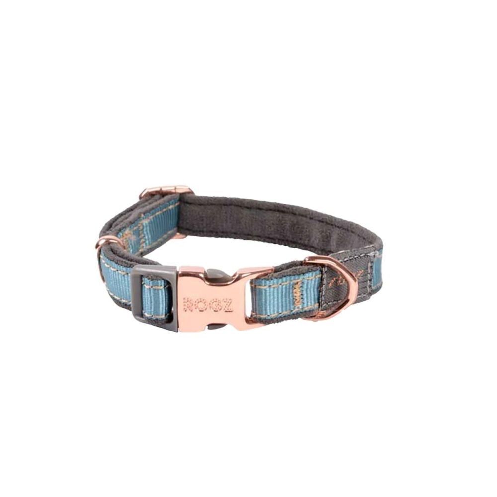 Rogz Urban Hundhalsband Turkos (M)
