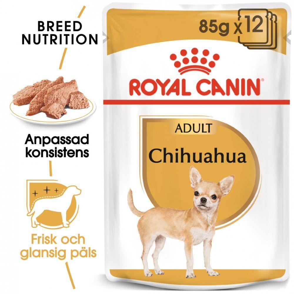 Royal Canin Chihuahua Wet 12x85 g