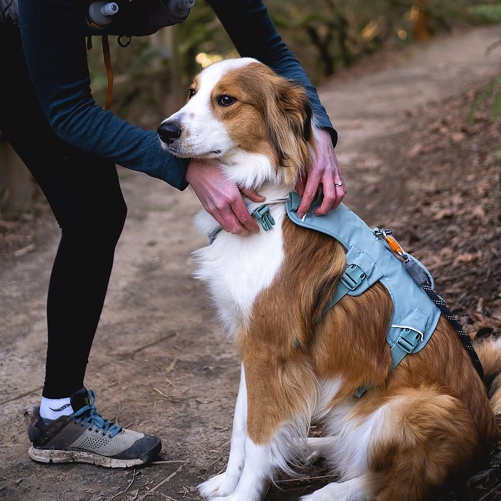Ruffwear Web Master Hundsele Grön (XS)