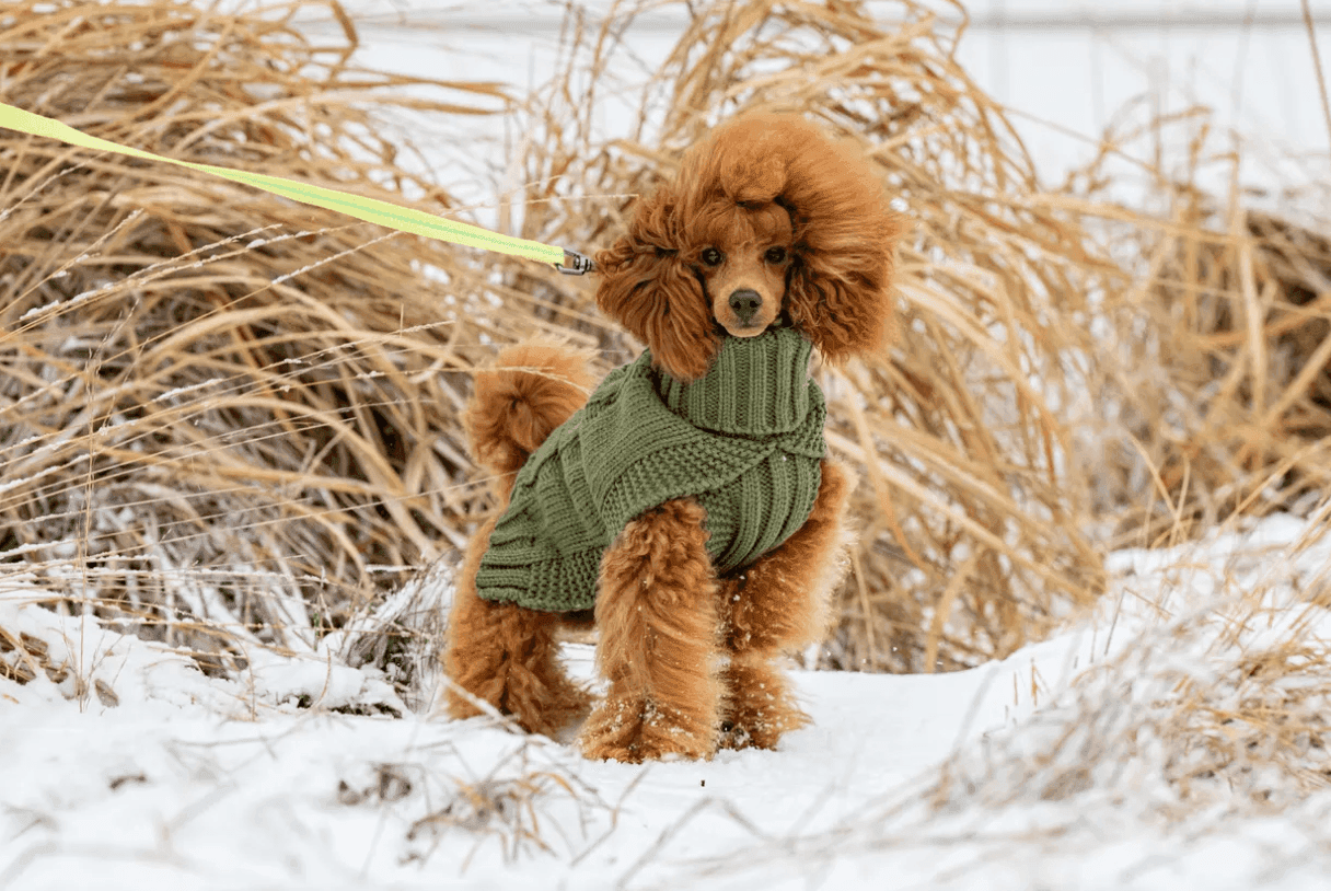 Wooly Stickad Hundtröja - L / Antracit