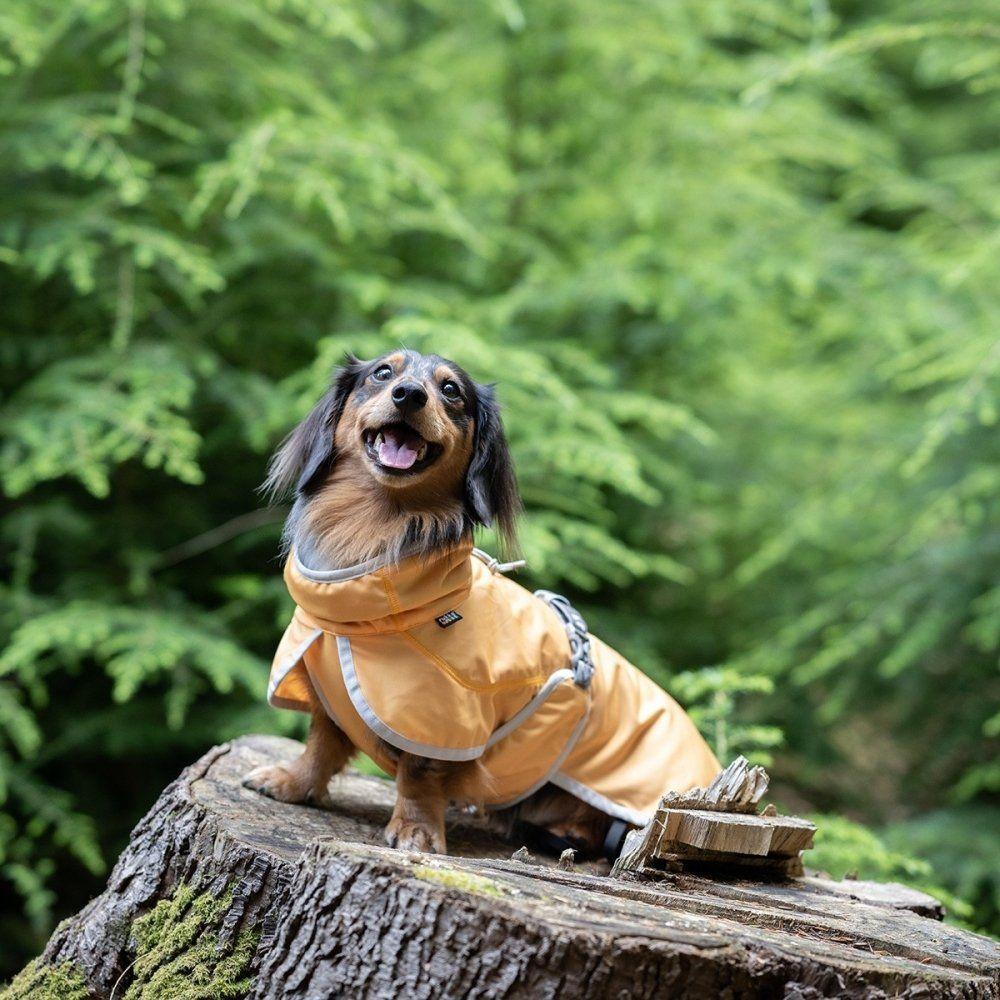 Rukka Crisp UV Kyltäcke Hund Ljus Orange (50)