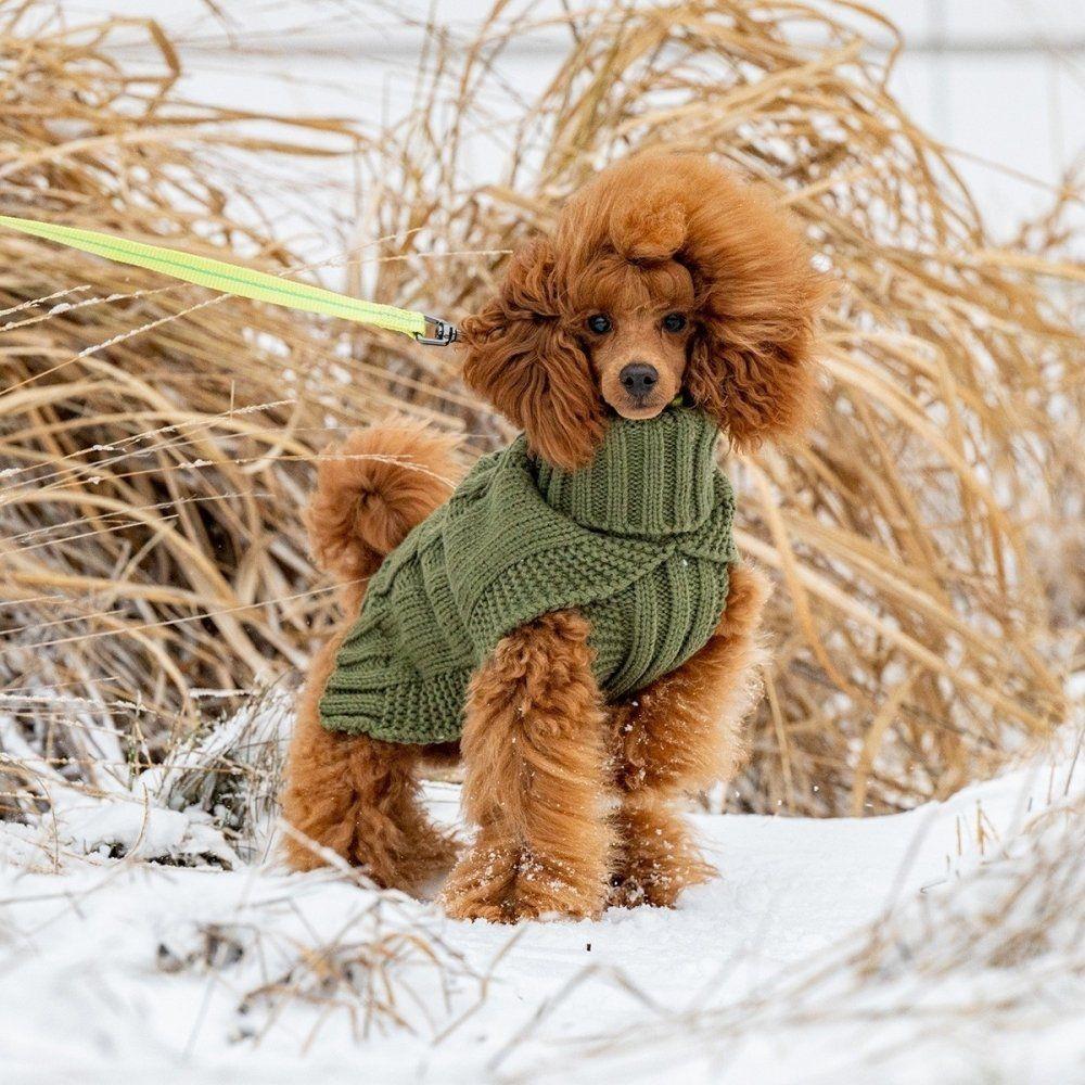 Rukka Wooly Hundtröja Stickad Grön (M)