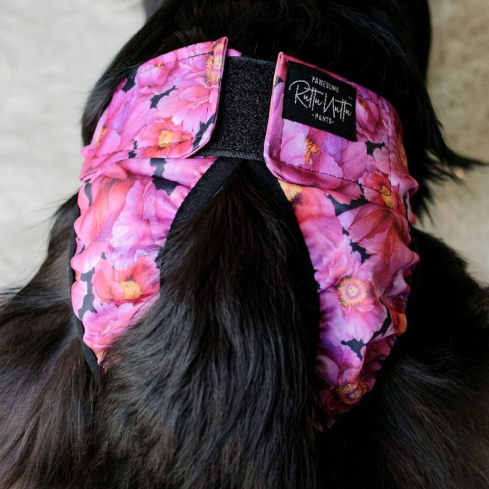 RuttuNuttu Tikskydd Pion Rosa (XS)