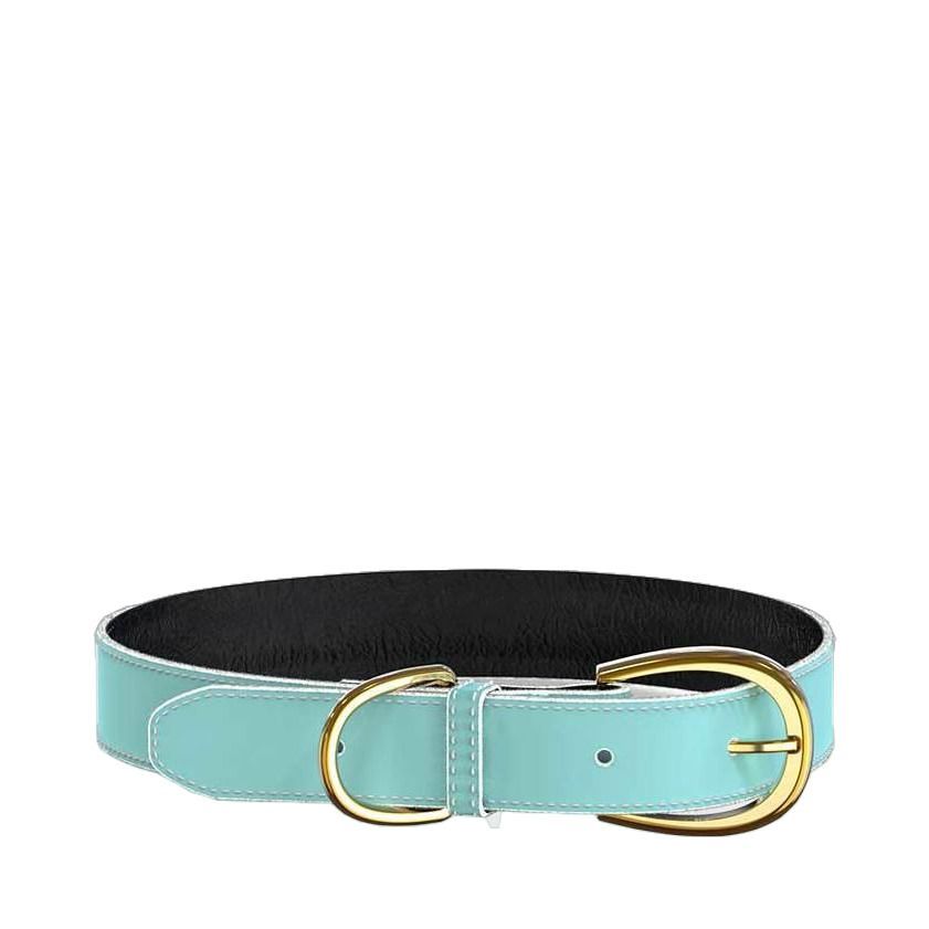 Swaggin Tails Halsband - Turkos / M