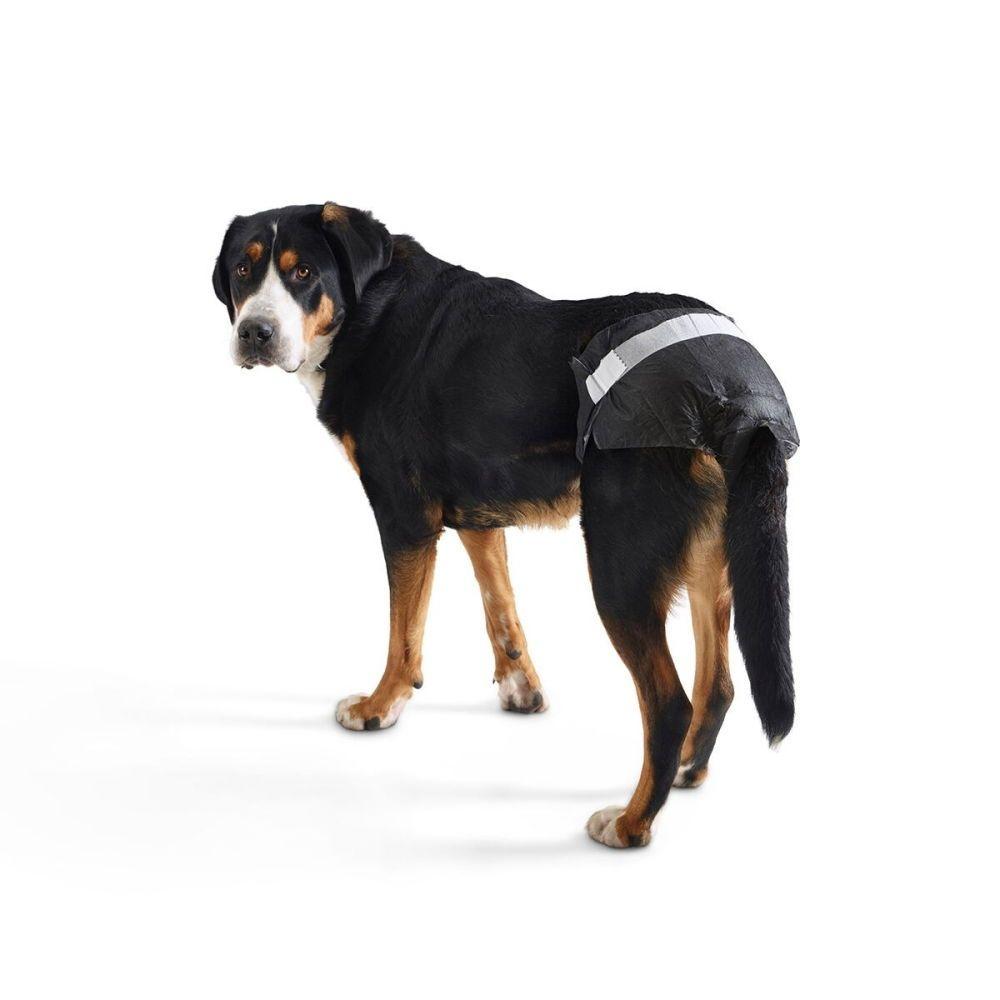 Savic Comfort Nappy Hundblöja 12 st (7)
