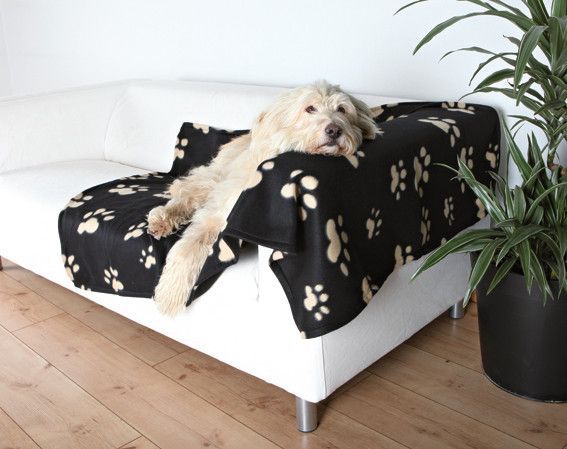 Barneyfilt Svart Tasstryck - Medium