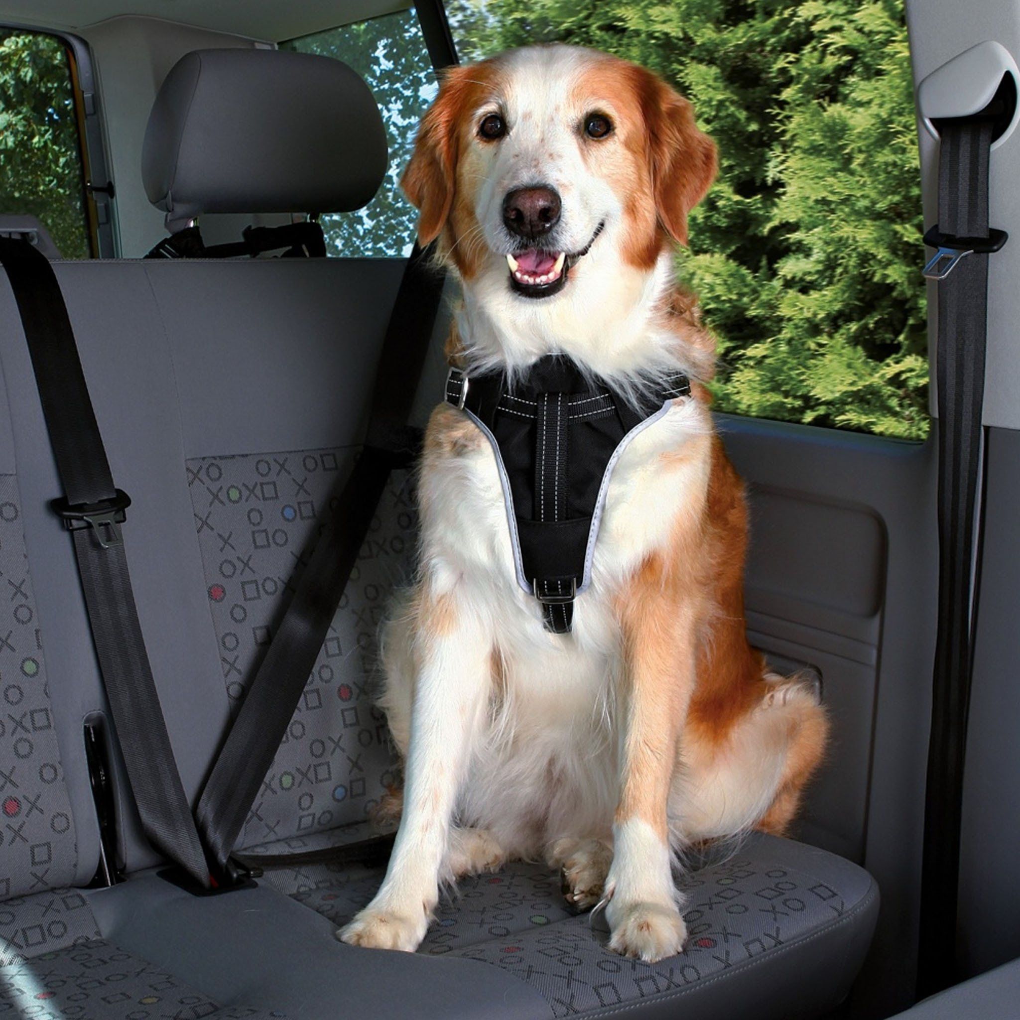 Bilsele för Hund - L: 65-80 cm