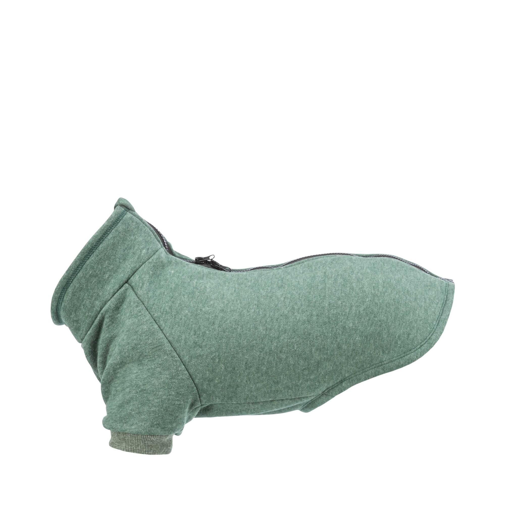 CityStyle Amsterdam Hundtröja - 36 cm
