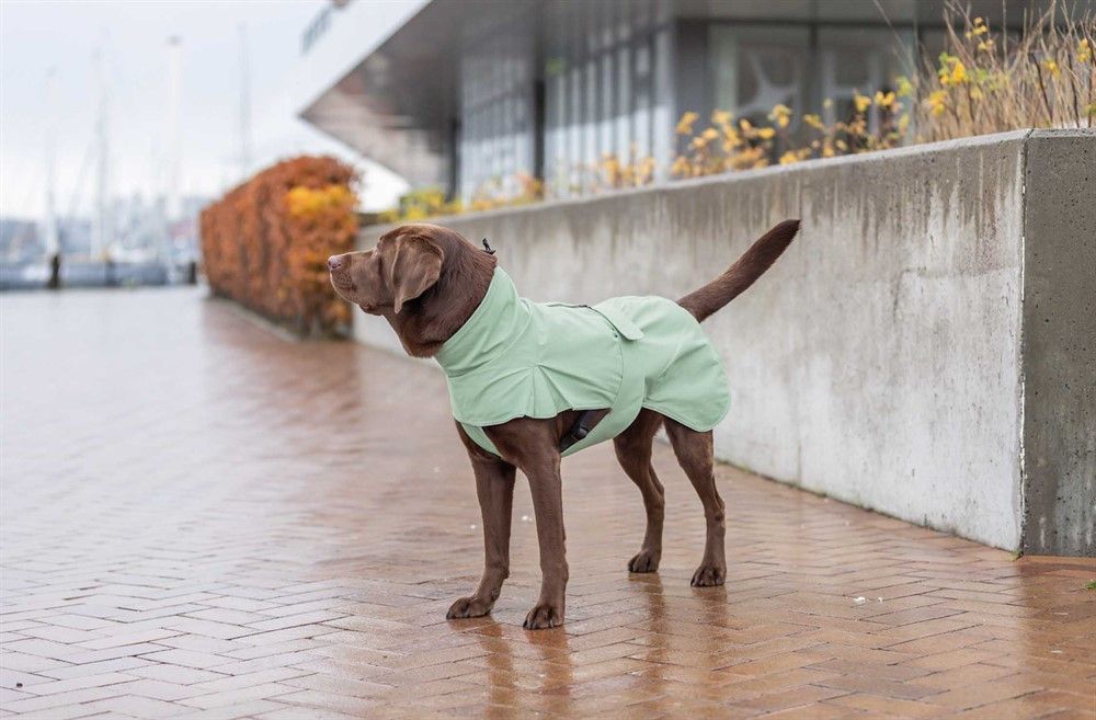 Dublin Regntäcke till Hund - 36 cm