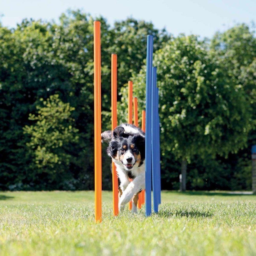 Trixie Agility Slalompinnar 12-pack
