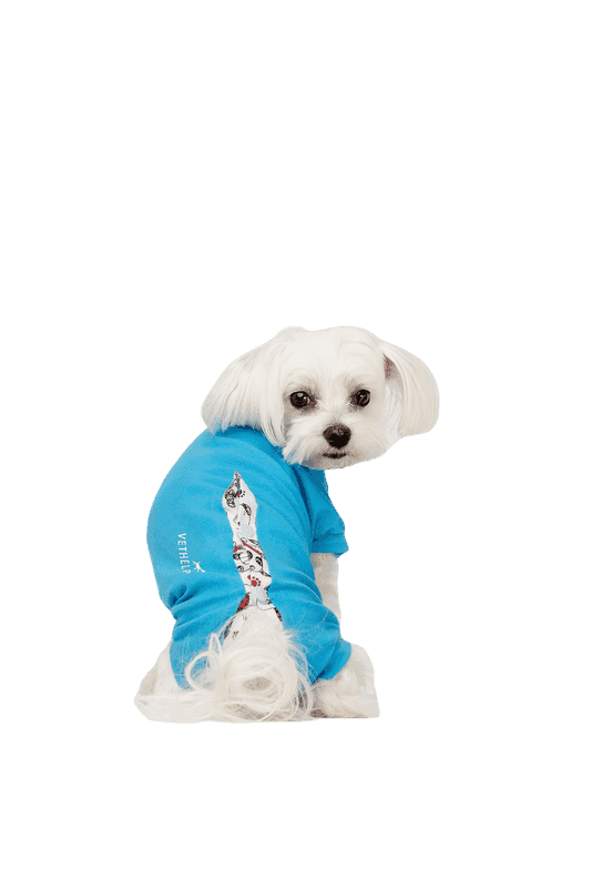 Recovery Suit Blue Hane Nr D5
