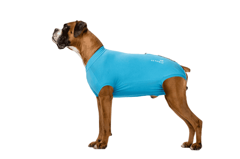 Recovery Suit Blue Hane Nr D6