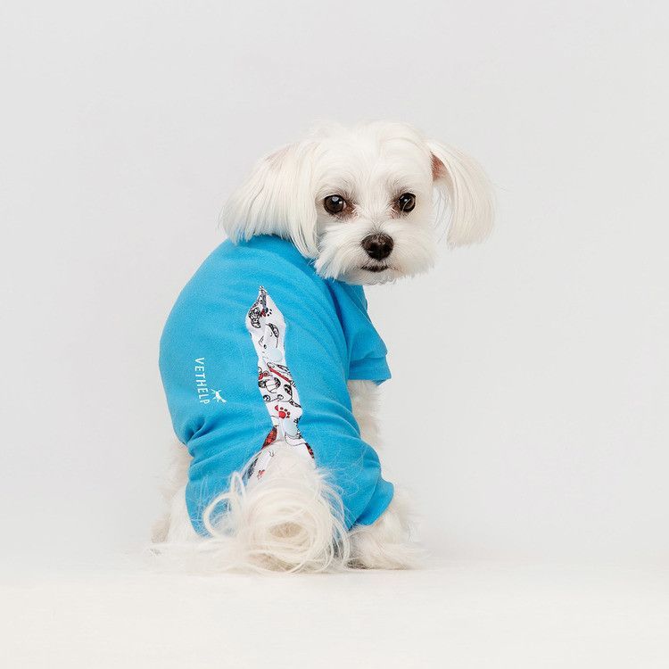 Operationsdräkt/skyddande body, Hanhund - D3