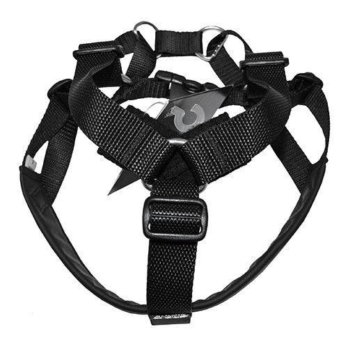 Spårsele Pioneer Svart - XXXL
