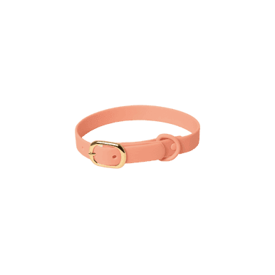 Vattentätt halsband hund - Mintgrön / M (30-40cm)